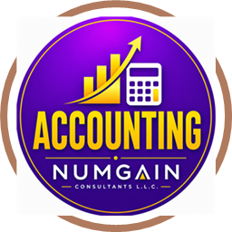 NUMGAIN CONSULTANTS L.L.C logo